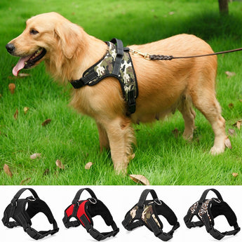 Nylon Heavy Duty Hond Troeteldier Harnas Verstelbare Gestopte Kraag Ekstra Groot Medium Klein Honde Harnas Vest Husky Honde Voorrade